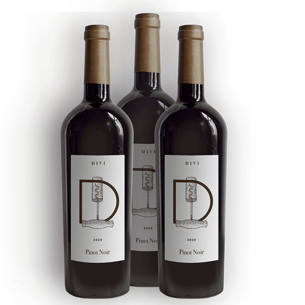 Nosotros 2 wine shop theme 1